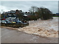 SX9192 : The Exe in flood by Chris Allen