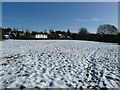 Snow covered common, Buckland Common