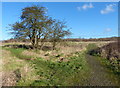 Path on the edge of Oadby