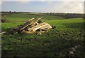 Pile of wood north of East Allington