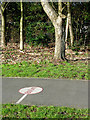 Footpath markings in Phoenix Park, Blakenhall, Wolverhampton