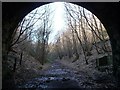 Western portal of the eastern former railway tunnel