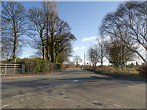 SJ5693 : Burtonwood, Lumber Lane by David Dixon