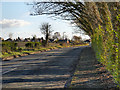 Broad Lane, Collins Green