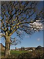 Towards Moretonhampstead