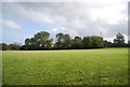TQ6343 : Landscape near Dislingbury Farm by N Chadwick