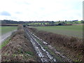 Bridle Path at Shitterton