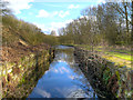 Sankey Canal, Bradley (Bradlegh) Lock