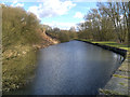 The Sankey Canal