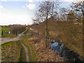 Sankey Canal from Penkford Bridge