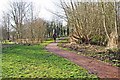 Path in Springfield Park leading to play area, Kidderminster