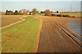 Trent floodbank