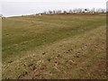 Strong Ridge and Furrow pasture land