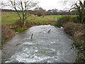 Bere Stream at Snatford Bridge