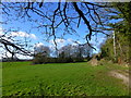 Looking towards small lake, surrounded by trees, off Miss Grace