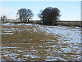 NT1652 : Fields at Deanfoot by M J Richardson