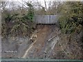 Newbold Quarry Park-Landslip