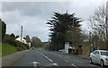 Bus stops on A390 in Tresillian