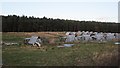 Pheasant rearing pens