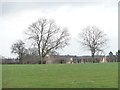 Trees on a field boundary, at the edge of Stutton