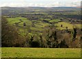 Countryside near Hayne, from Pepperdon