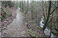 Path in Hurst Clough