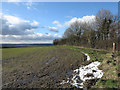 North side of field west of Binchester