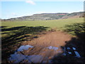 Pasture, near Well Farm