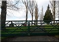 Entrance to stud farm, Little London