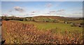 View towards Mardon Down