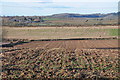 View across farmland to Felton