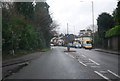 A264 in Langton Green