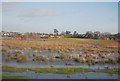 Doxey Marshes