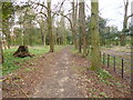 Wimborne St Giles, footpath