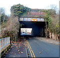 Andrew Road railway bridge, Cogan