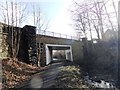 Bridge at Pelton Fell