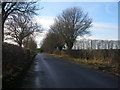 Lane west of Langton