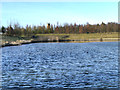 Clock Face Colliery Country Park