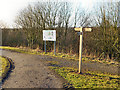 Clock face Colliery Country Park