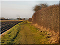 Footpath next to Abbotsfield Farm