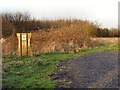 Path into Wheatacre Woods