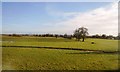 Farmland near Drayton Manor