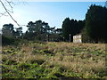 Derelict Buildings, St John