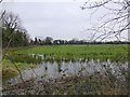 A flooded field, Loughrelisk