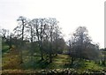 Wooded knoll south of the Ballynahinch Road