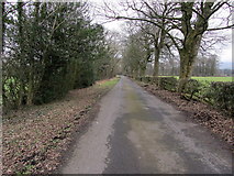 SD7339 : Access Lane from Higher Standard Hey Farm by Chris Heaton