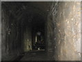 NT0683 : Inside a Charlestown lime kiln by M J Richardson