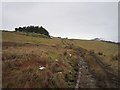 Farm track, Glen Lethnot