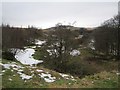 Flood plain, West Water