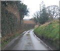 Lane to Upper Fairlight Farm